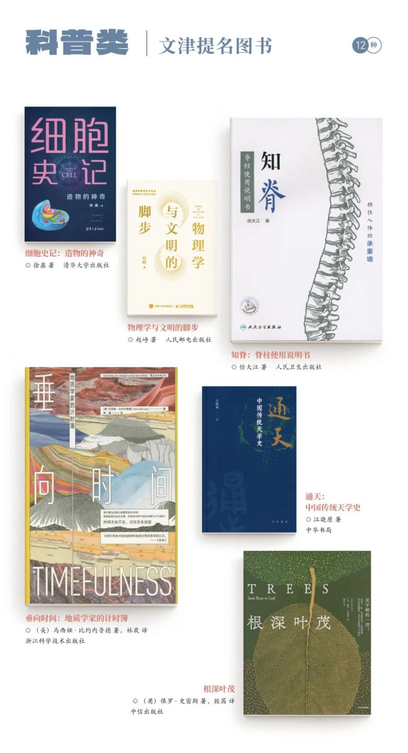 31_图片