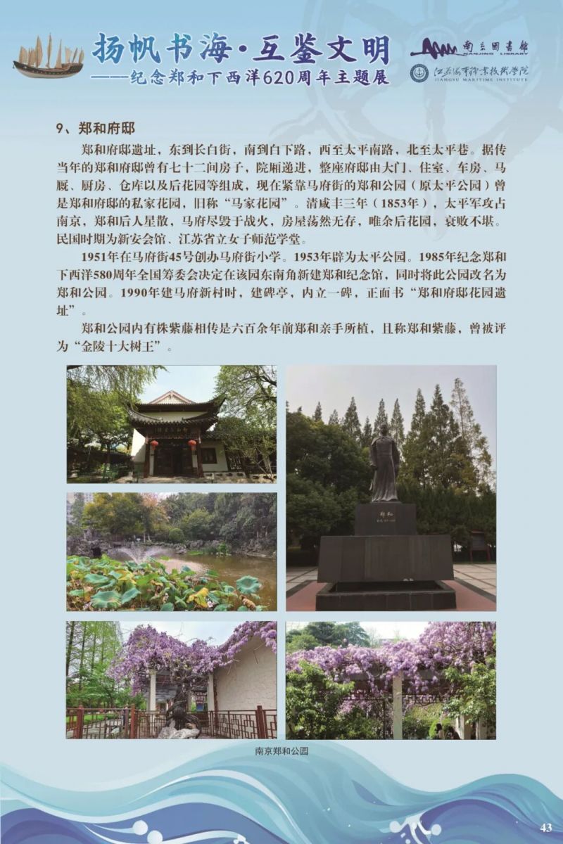 81_图片