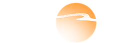 b_68bb7e25404f9.jpeg