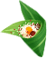 b_68bb7e29914a8.jpeg