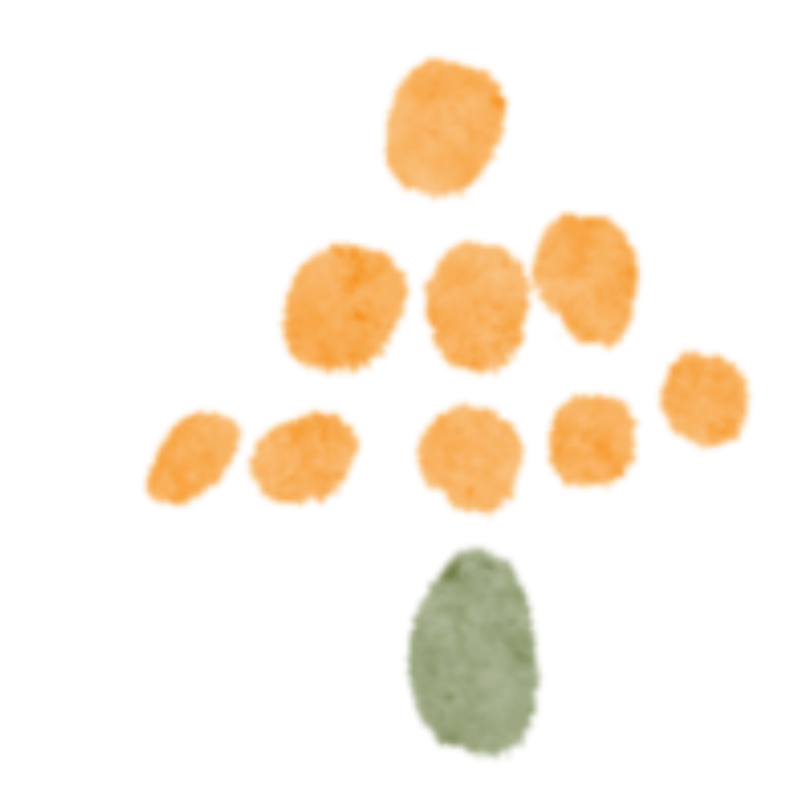 b_68bbd827d2a53.png