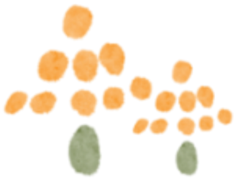 b_68bbd82f767b0.png