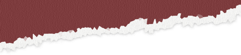 b_68bbe584d4cf6.png