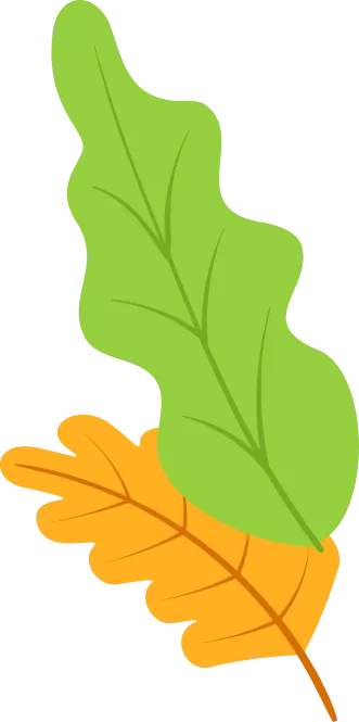 b_68bc00d736ce2.png