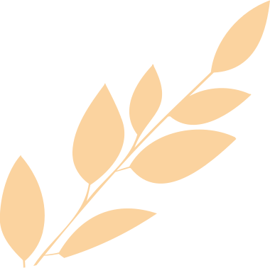 b_68bfd52b8c0a8.png