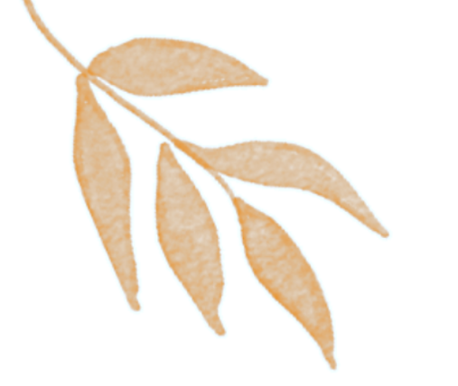 b_68c51d7e6659b.png