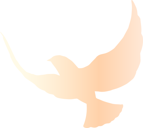 b_68cb81b97bc43.png