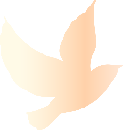 b_68cb81bcea475.png