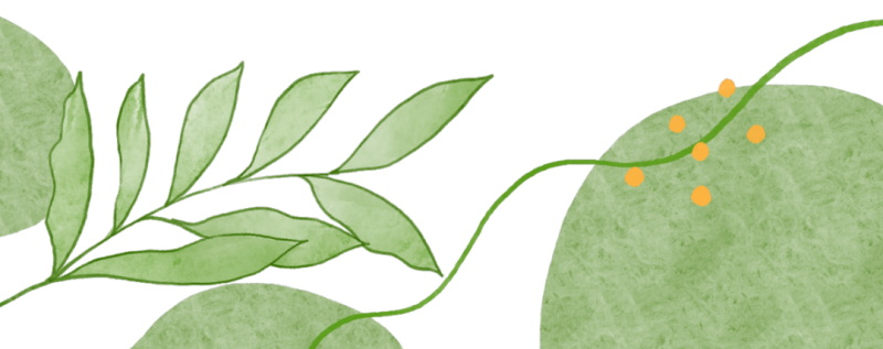 b_68e891db57765.png