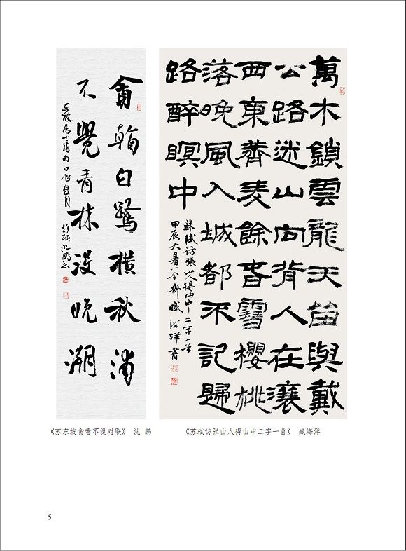 苏轼研究成果展展册  05页