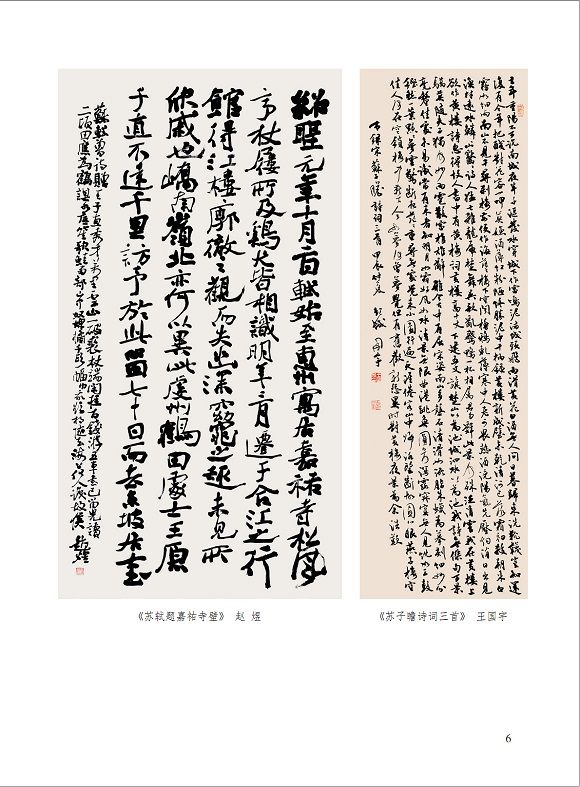 苏轼研究成果展展册  06页